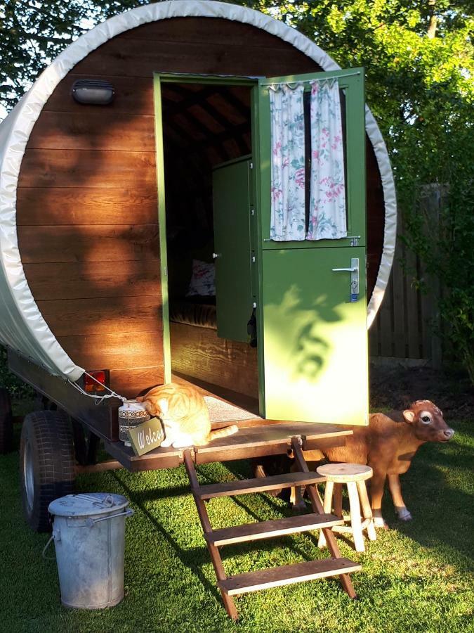 Irish Bowtop op het platteland van Huize Ouwervelden Wouwsche Plantage Buitenkant foto